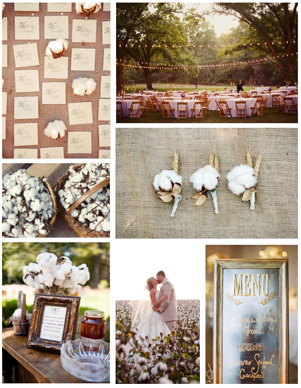 cotton boll wedding