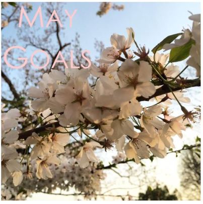 maygoals