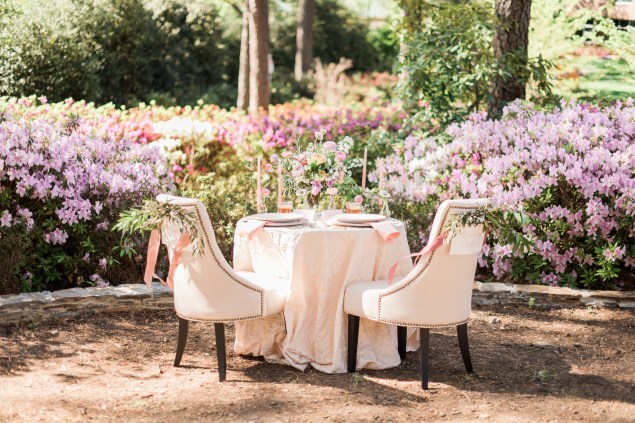 View More: http://ajdunlap.pass.us/styledshoot04052016