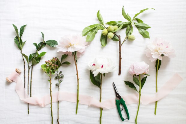 © Sara Logan Photography