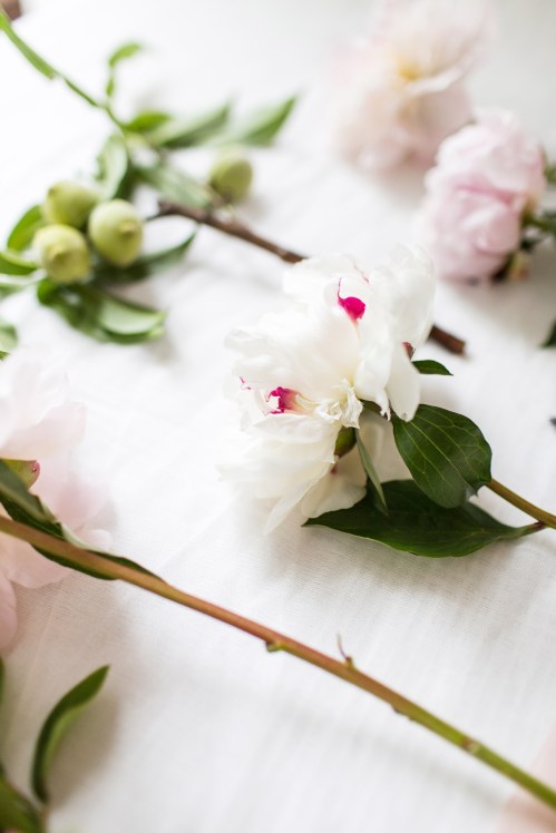 © Sara Logan Photography