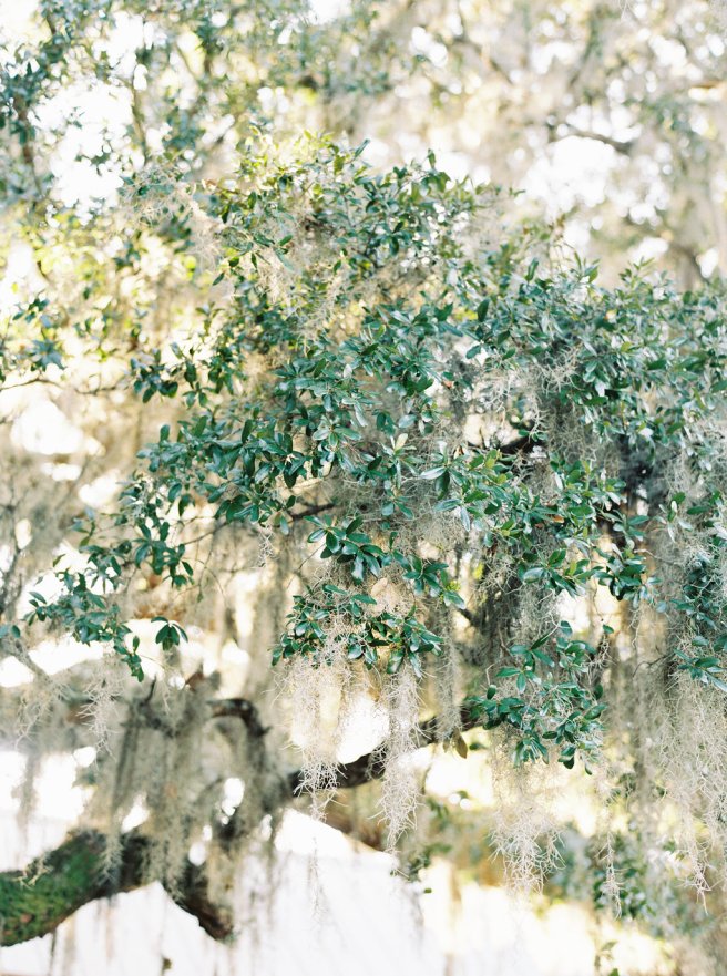 A&amp;BStephanieRobEngagement88