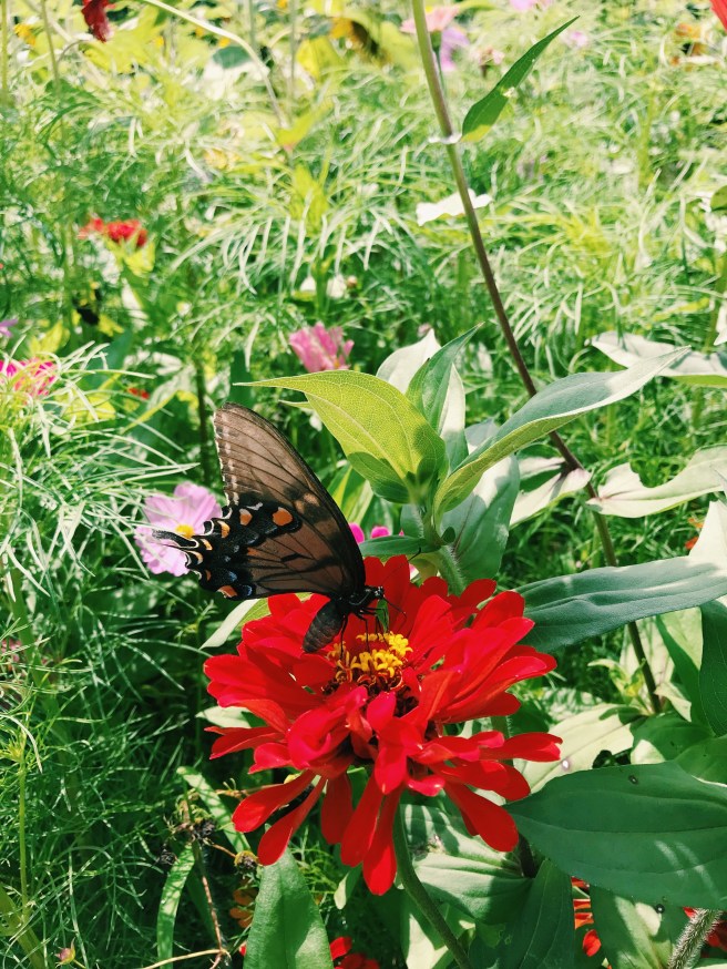 Processed with VSCO with c1 preset