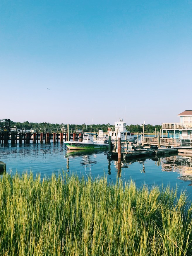 Processed with VSCO with c1 preset