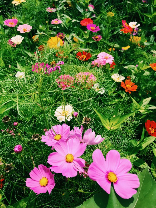 Processed with VSCO with c1 preset