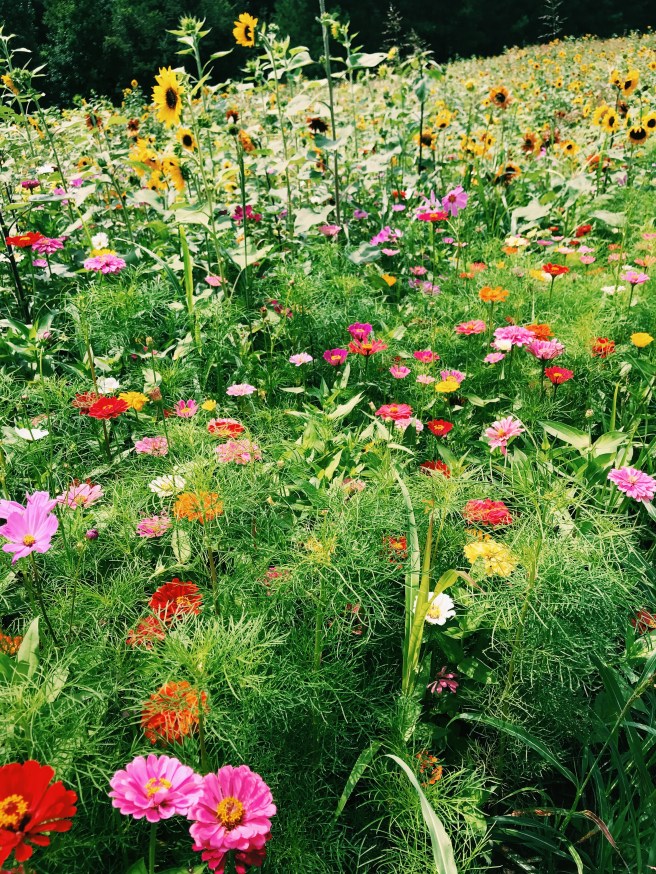 Processed with VSCO with c1 preset