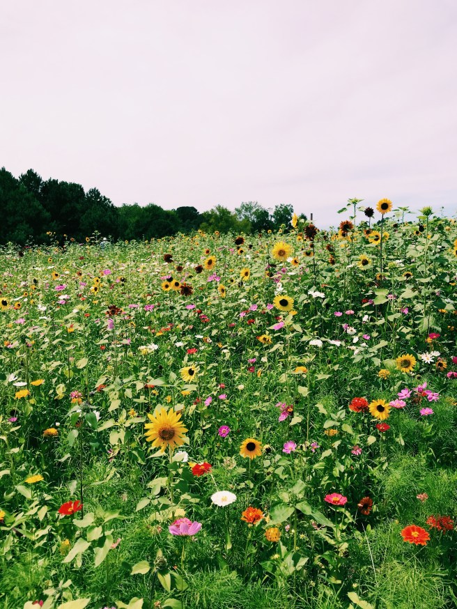 Processed with VSCO with c1 preset