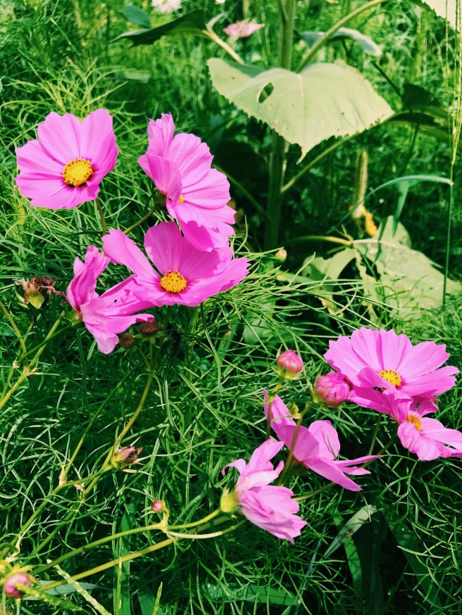 Processed with VSCO with c1 preset