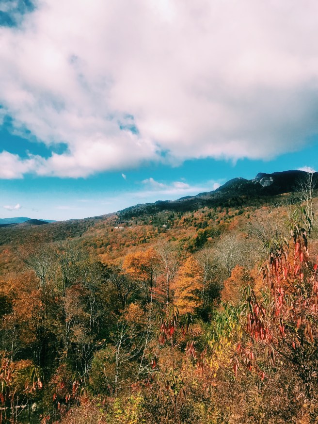 Processed with VSCO with c1 preset